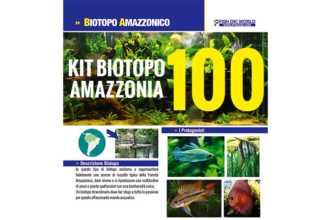 (KITBIOAMAZZONIA100) KIT ARREDO BIOTOPO AMAZZONIA 100