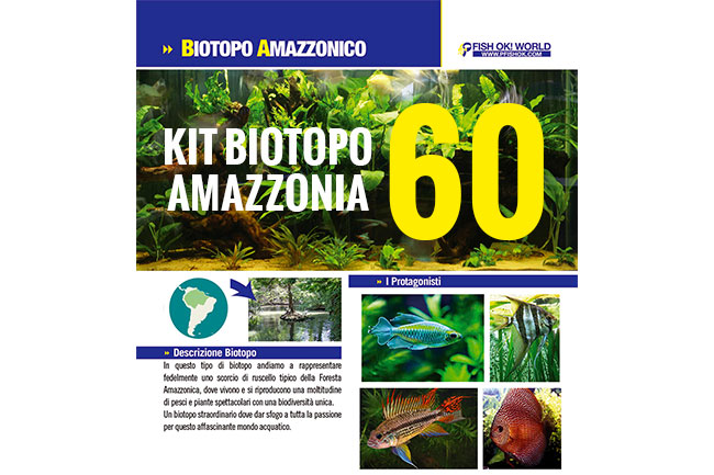 (KITBIOAMAZZONIA60) KIT BIOTOPO AMAZZONIA 60