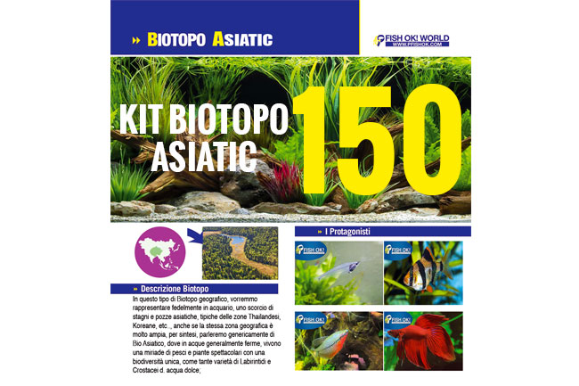 (KITBIOASIATIC150LUX) KIT ARREDO BIOTOPO ASIATIC 150LUX