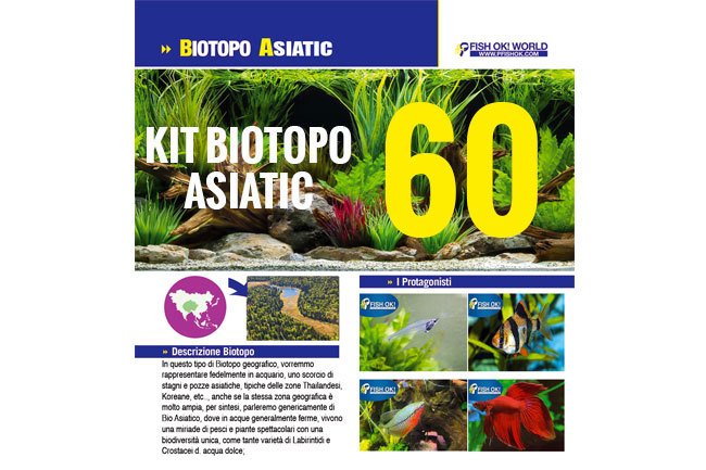 (KITBIOASIATIC60) KIT ARREDO BIOTOPO ASIATIC 80