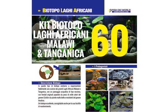 (KITBIOMALAWI60) KIT BIOTOPO LAGHI AFRICANI MALAWI & TANGANICA 60