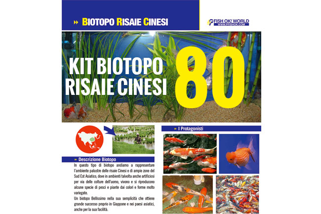 (KITBIORISAIE80) KIT ARREDO BIOTOPO RISAIE CINESI 80