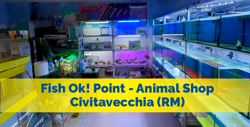 Fish Ok! Civitavecchia (RM) – Animal Shop