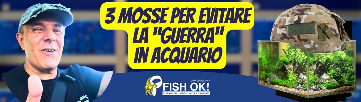 Guerra in Acquario? Le 3 Regole d’Oro per Fermarla Subito!