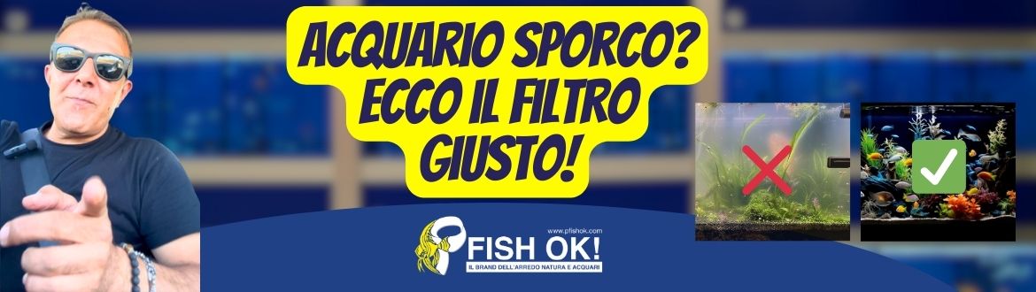 Filtro Acquario: Stai Sbagliando Tutto (ma puoi rimediare subito)