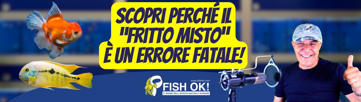 Il tuo acquario è un disastro? Scopri perché il “fritto misto” è un errore fatale!