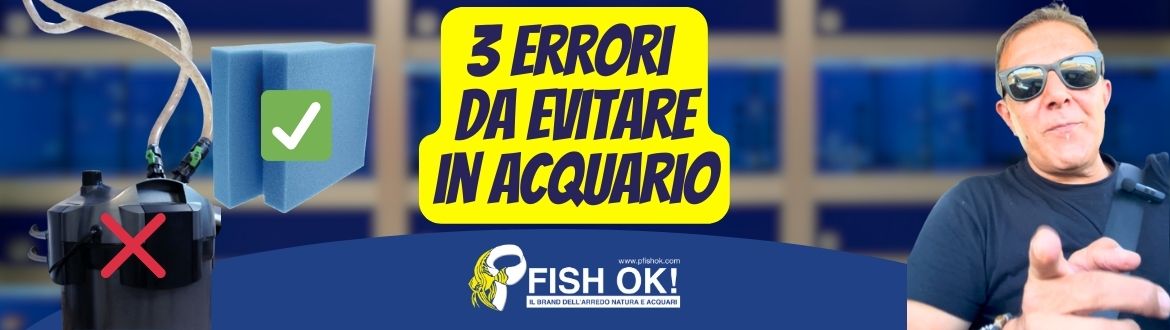 Non Fare QUESTI 3 ERRORI in Acquario! (Consigli da Esperto)