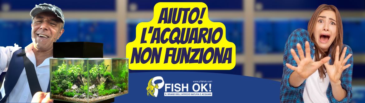 Perché il tuo acquario NON funziona (e come risolverlo SUBITO!)