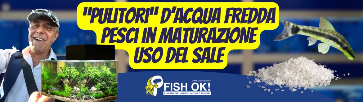 3 DUBBI COMUNI IN ACQUARIOLOGIA RISOLTI! Pesci Pulitori, Maturazione e Uso del Sale